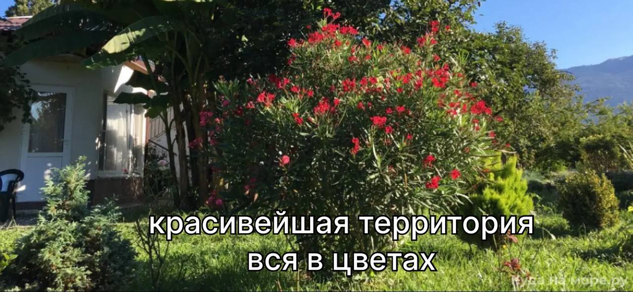 Двухместный