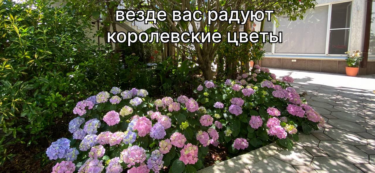 Двухместный